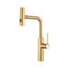 Valfex VF.73824-5 Смеситель для кухни, выдвижной излив, нерж. сталь Apollion Steel Gold (10)