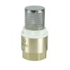 Valfex VF.161.NS.100 Обратный клапан с фильтром 1" (80/10) К